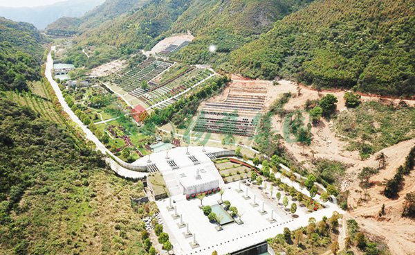 1-22020Q114213E ng电子游戏·(中国区)官方网站