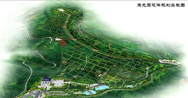 1-22020Q12122N1 ng电子游戏·(中国区)官方网站