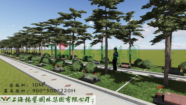 1-22020Q34029208 ng电子游戏·(中国区)官方网站
