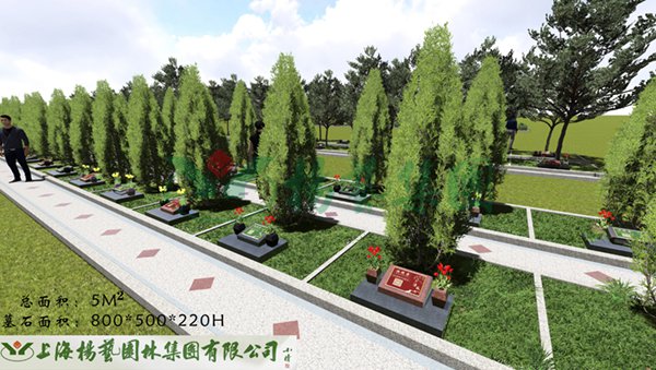 1-22020Q34102648 ng电子游戏·(中国区)官方网站