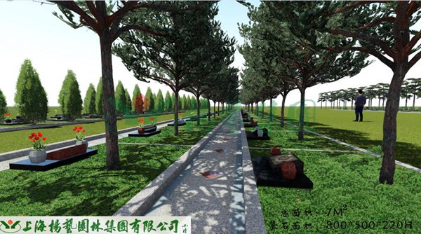 1-22020Z95TV60 ng电子游戏·(中国区)官方网站