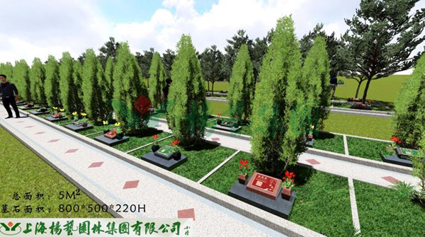 1-22020Z95Z4464 ng电子游戏·(中国区)官方网站
