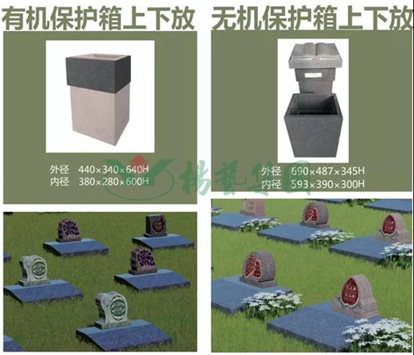1-2202191430235W ngµç×ÓÓÎÏ·¡¤(ÖйúÇø)¹Ù·½ÍøÕ¾