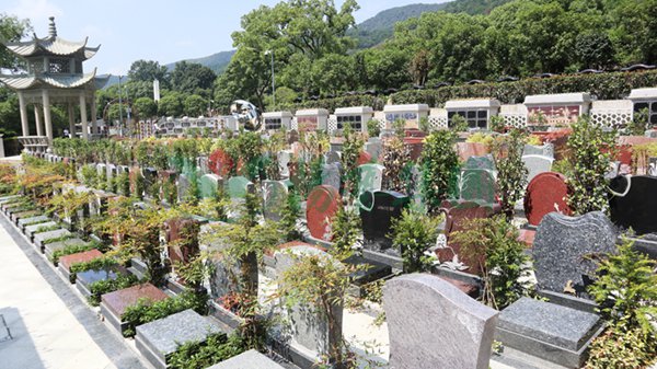 1-23092Q24331Q9 ng电子游戏·(中国区)官方网站