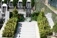 ����Ӣ