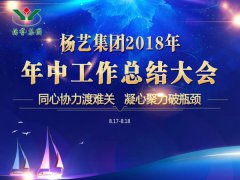 ng������Ϸ����2018�����ܽ�㱨����Ҫ��