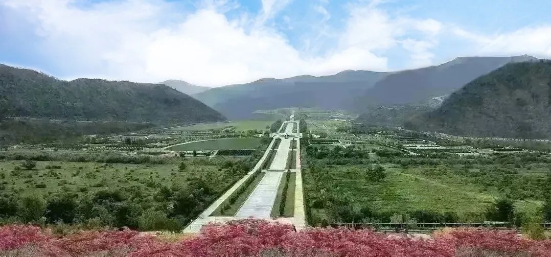 ng������Ϸ��(�й���)�ٷ���վ