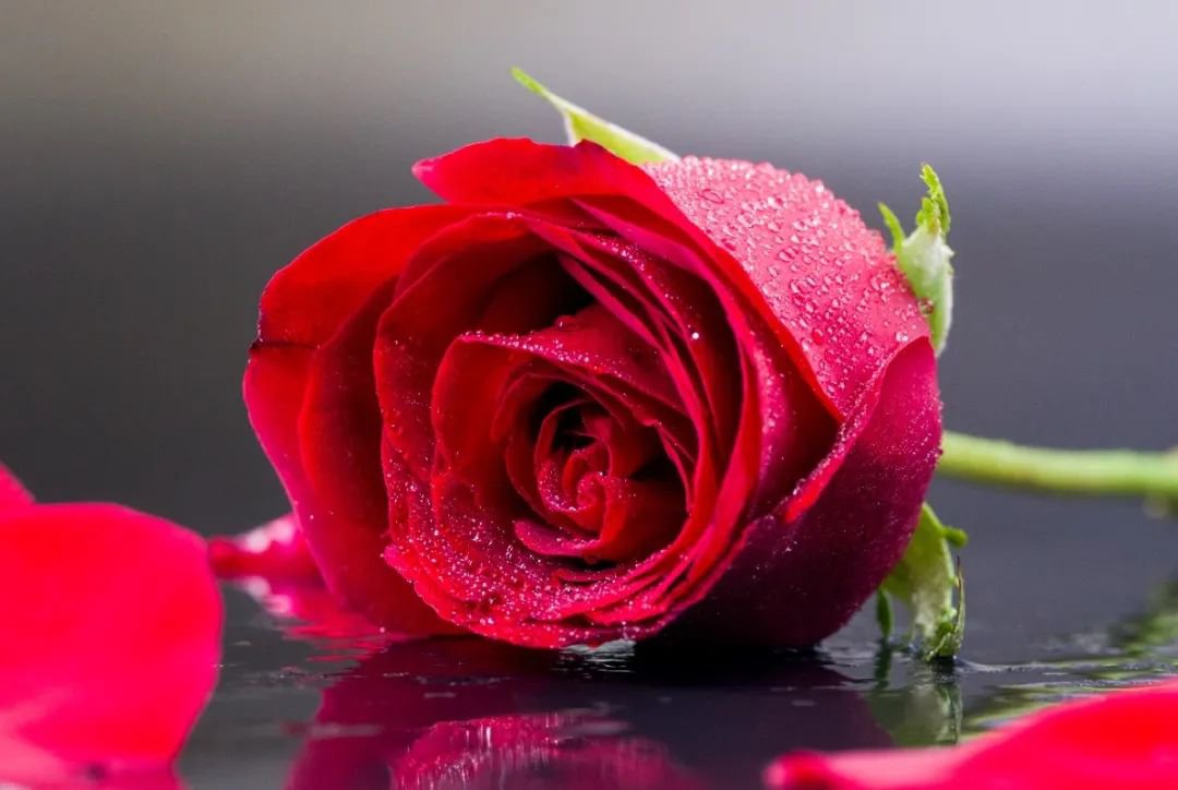 Ů��� | �¾���������������������δ��