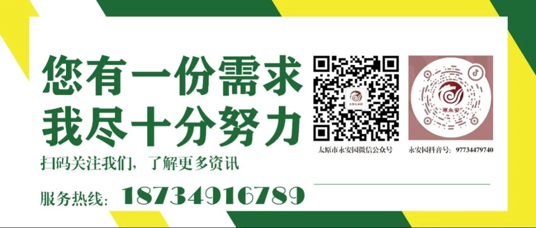 1-240615105130424 ngµç×ÓÓÎÏ·¡¤(ÖйúÇø)¹Ù·½ÍøÕ¾
