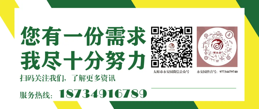 1-24062210001Dc ngµç×ÓÓÎÏ·¡¤(ÖйúÇø)¹Ù·½ÍøÕ¾