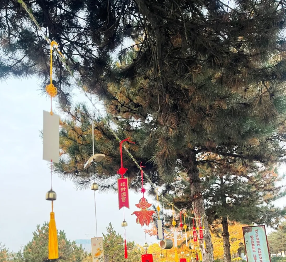 1-24110115550E18 ng电子游戏·(中国区)官方网站