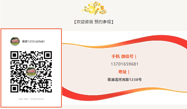 1-241112111345322 ng电子游戏·(中国区)官方网站