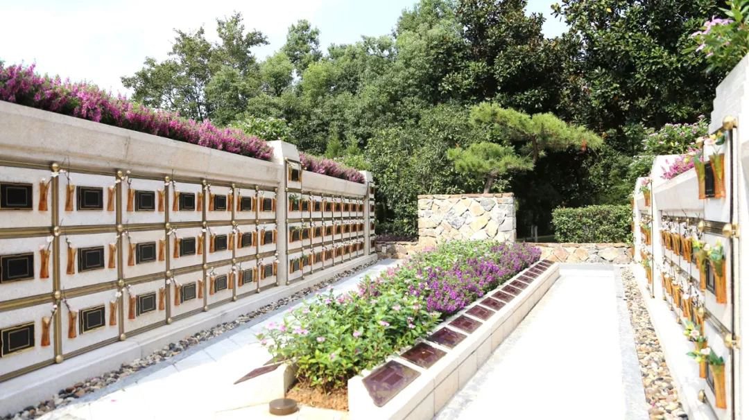 <b>����������ɽ�Ļ���������������˳�Ի�</b>