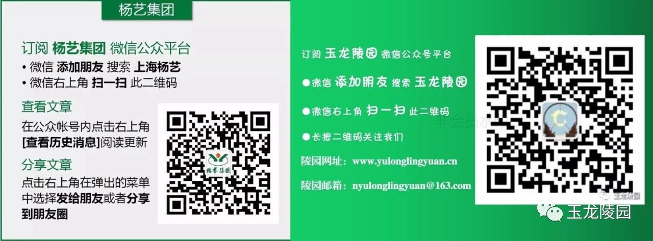 1-25040309312M41 ngµç×ÓÓÎÏ·¡¤(ÖйúÇø)¹Ù·½ÍøÕ¾