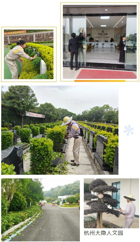 1-250505093S2264 ng电子游戏·(中国区)官方网站
