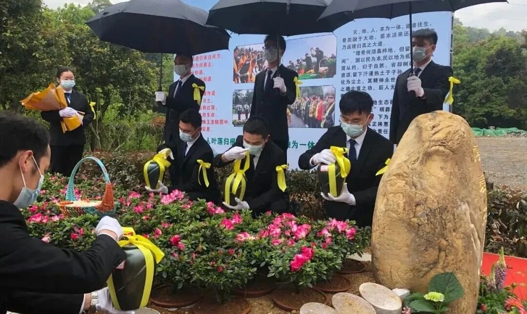 1-2510291356112C ng电子游戏·(中国区)官方网站